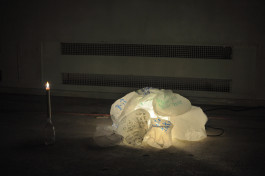 Renae_Shadler_Susurrus 